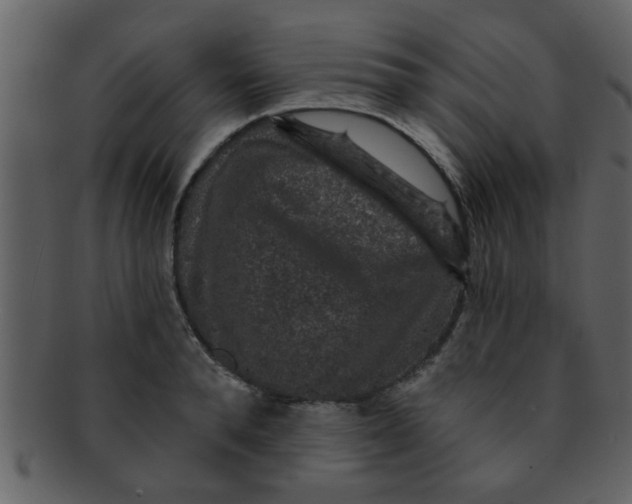 X0000093130896200710171305