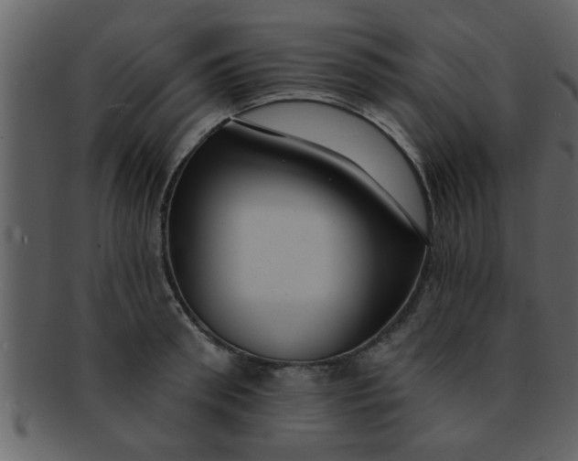 X0000093130898200710171305