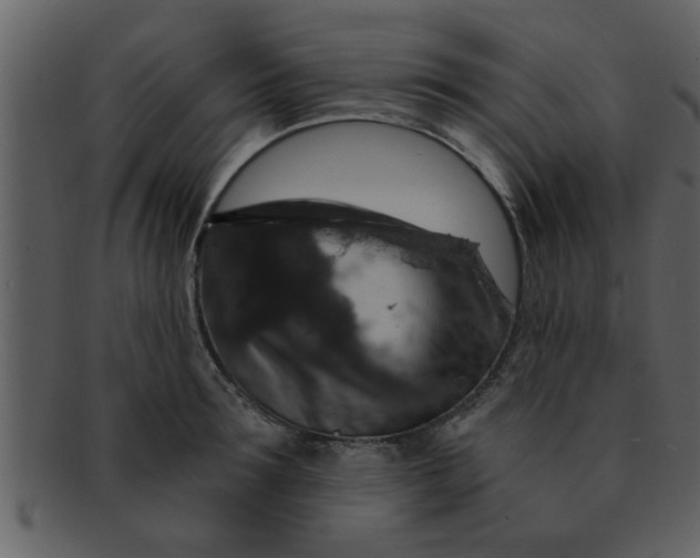 X0000093130899200710171305