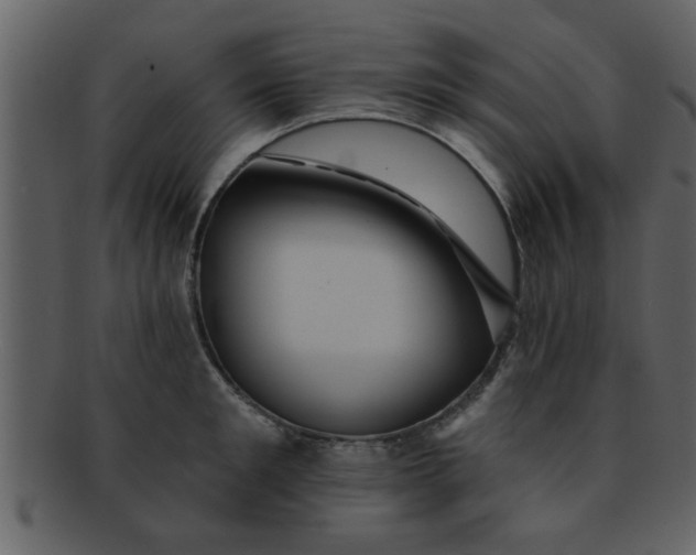 X0000093130901200710171305