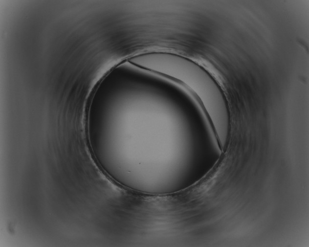 X0000093130902200710171305