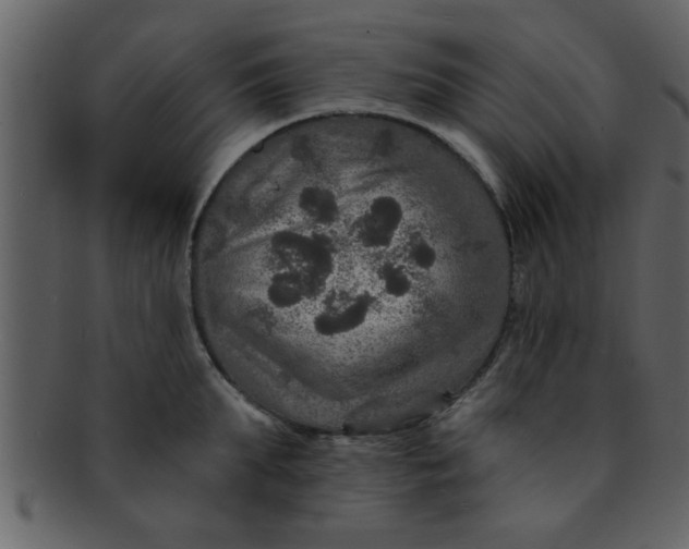 X0000093130903200710171305