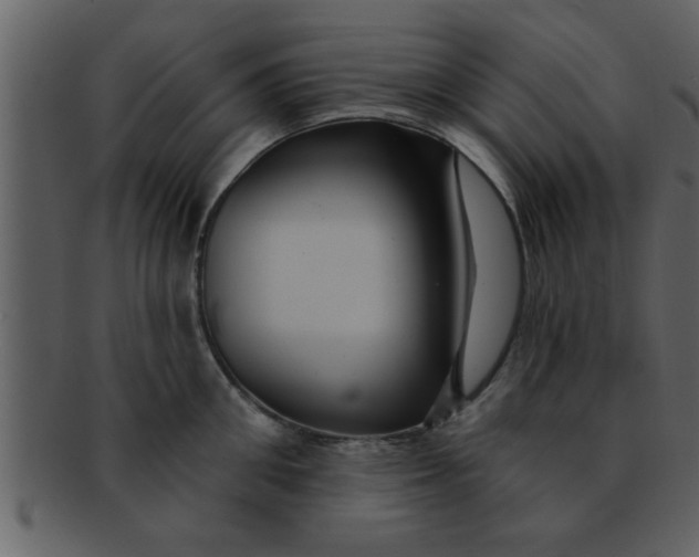 X0000093130906200710171304