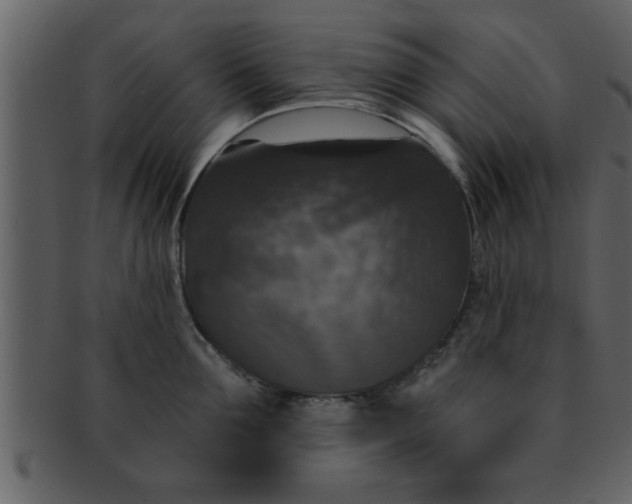 X0000093130907200710171304