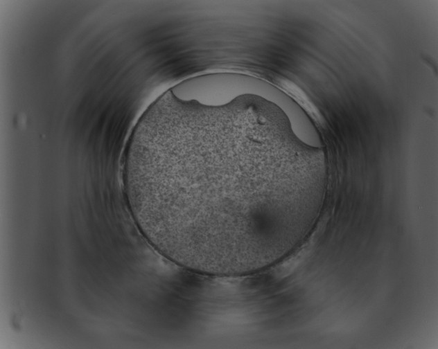 X0000093130908200710171304