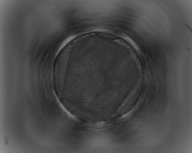 X0000093130910200710171304