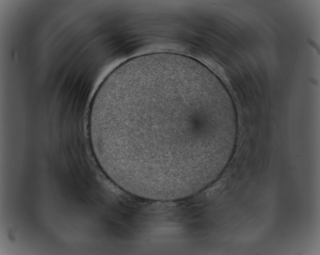 X0000093130912200710171304