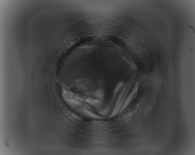 X0000093130913200710171304