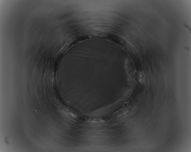 X0000093130915200710171304