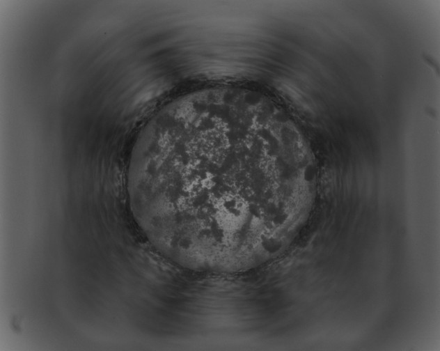 X0000093130917200710171304