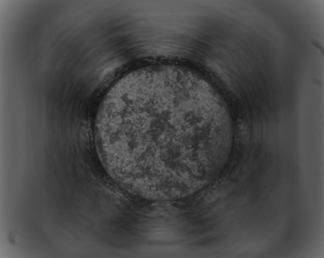 X0000093130918200710171304