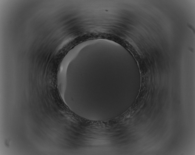 X0000093130919200710171304