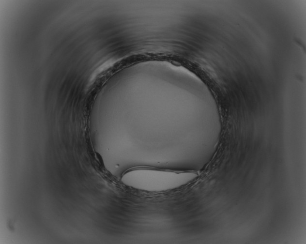 X0000093130920200710171304