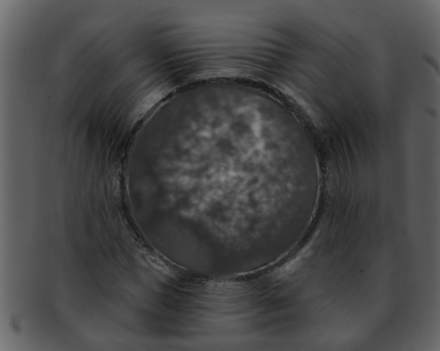 X0000093130921200710171304