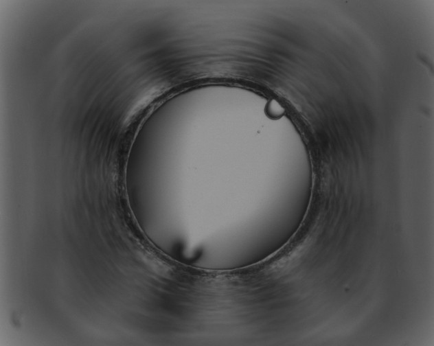 X0000093130922200710171304