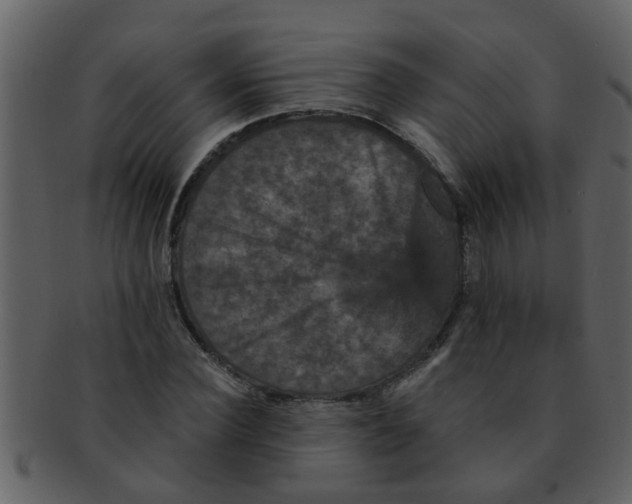 X0000093130924200710171304