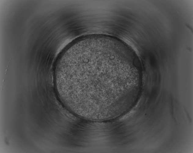 X0000093130925200710171304