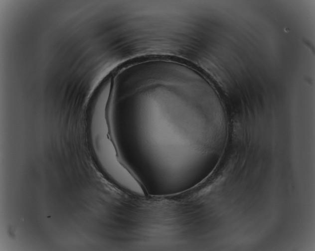 X0000093130926200710171304