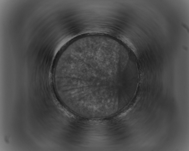 X0000093130928200710171304