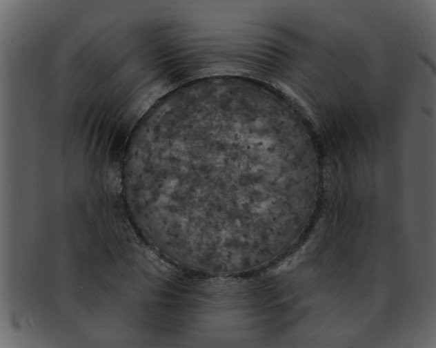 X0000093130929200710171304