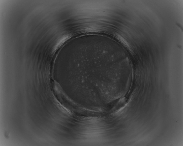 X0000093130930200710171304