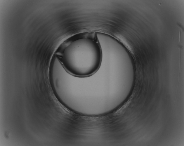 X0000093130932200710171304