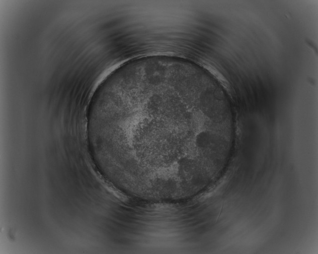 X0000093130933200710171304