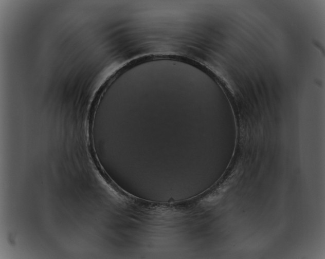 X0000093130935200710171304