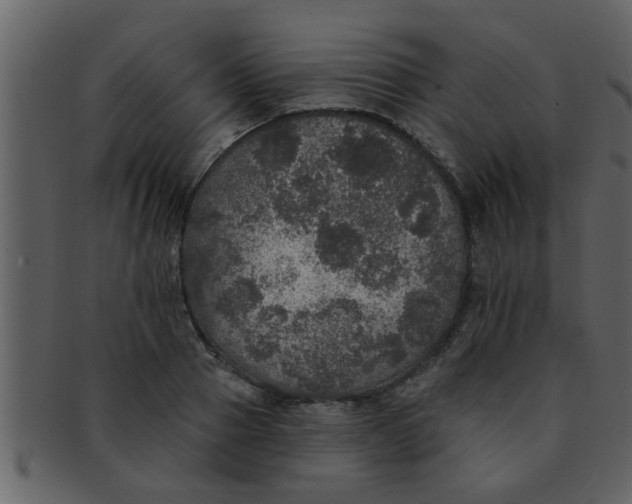 X0000093130937200710171304