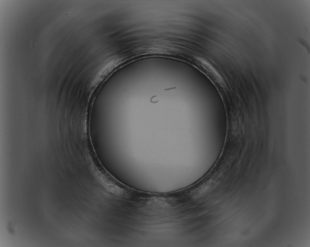 X0000093130938200710171304