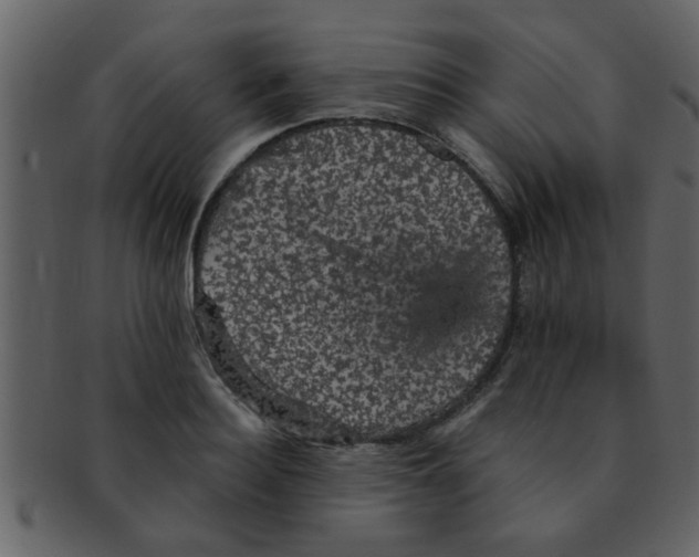 X0000093130940200710171304