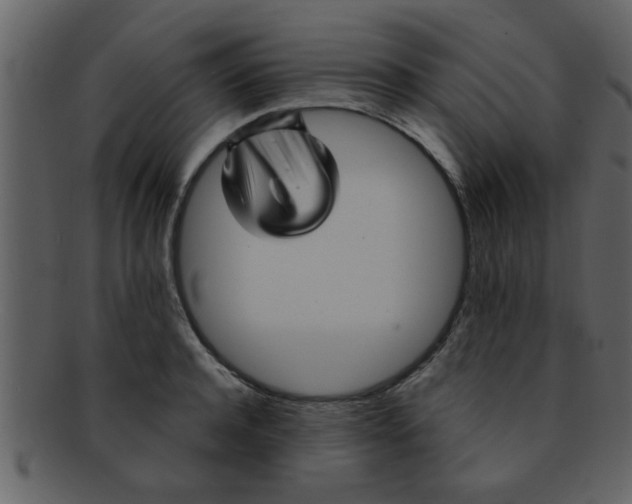 X0000093130944200710171304