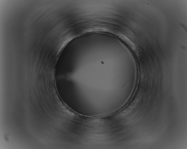 X0000093130945200710171304