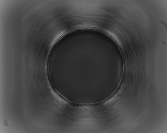 X0000093130946200710171304