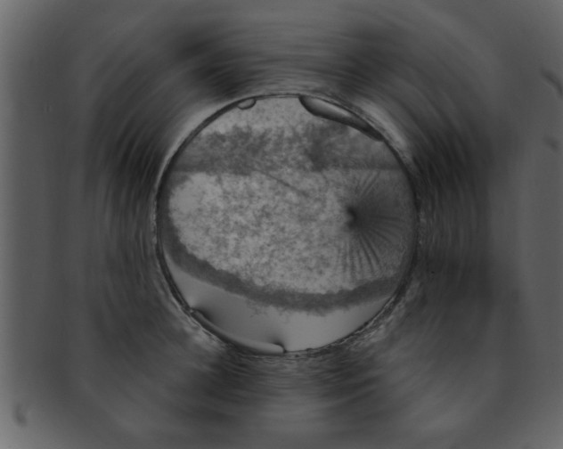 X0000093130948200710171304