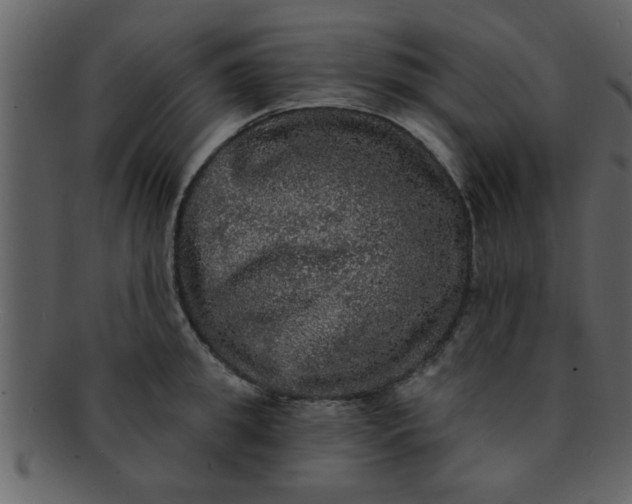 X0000093130949200710171304