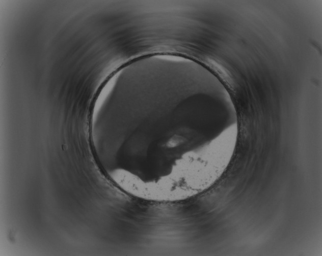 X0000093130950200710171304