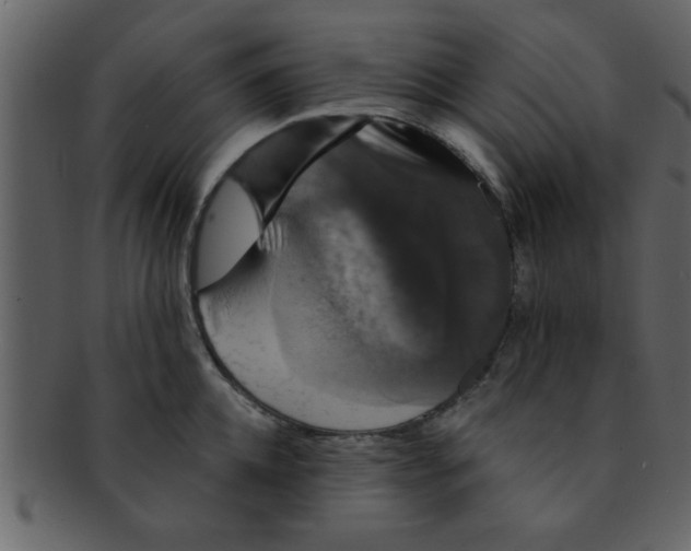 X0000093130952200710171304