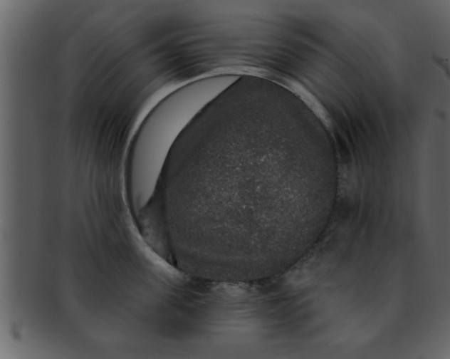 X0000093130955200710171304