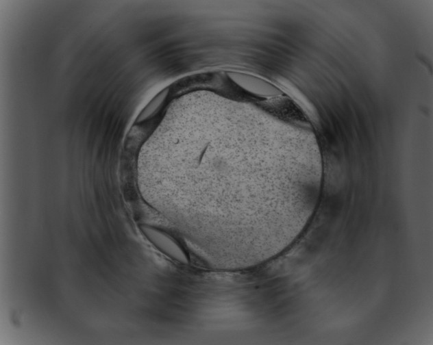 X0000093130956200710171304