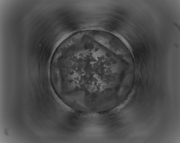 X0000093130957200710171304