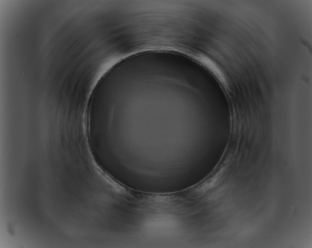 X0000093130958200710171304