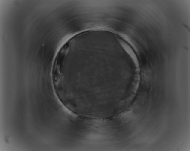 X0000093130959200710171304