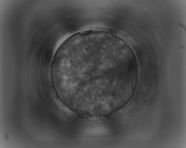 X0000093130960200710171304