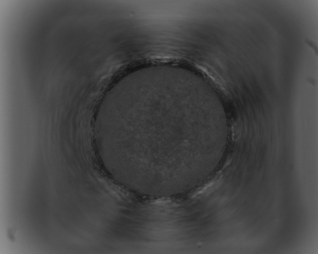 X0000093130961200710171304