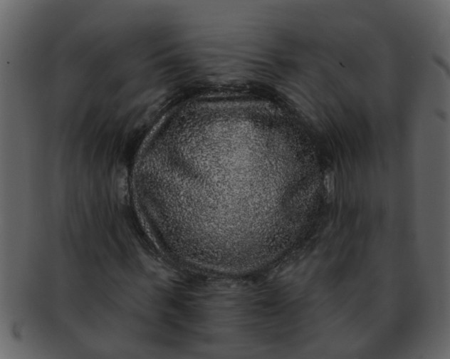 X0000093130963200710171304