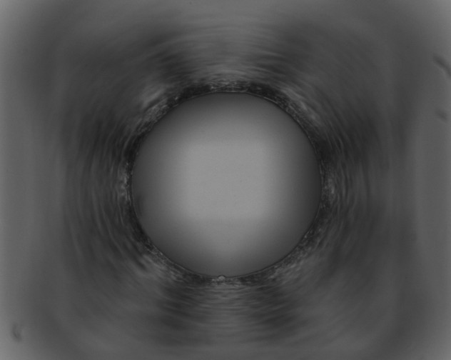 X0000093130964200710171304