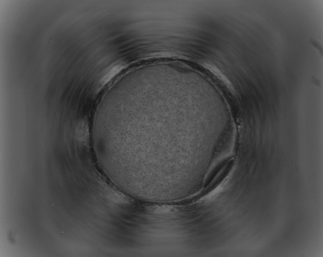 X0000093130969200710171304