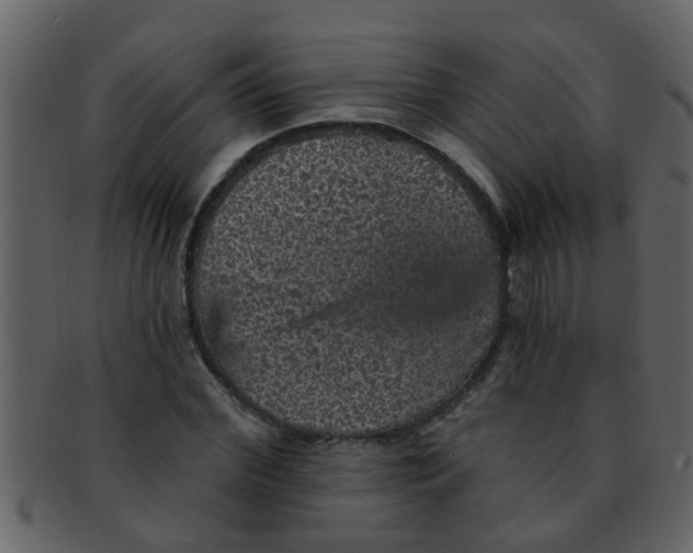 X0000093130972200710171304