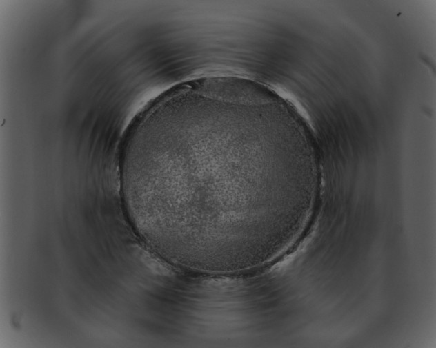 X0000093130973200710171304